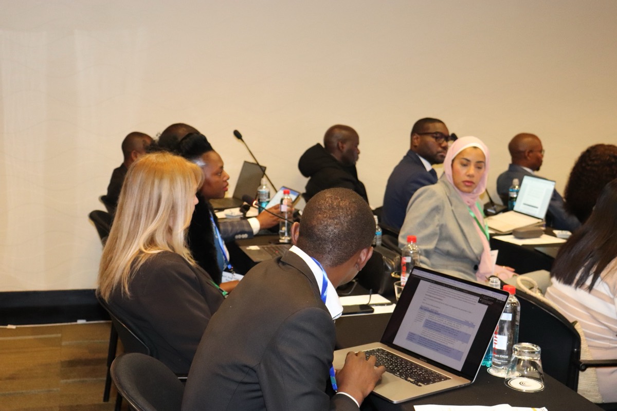 Delegates exchanging views during a working session