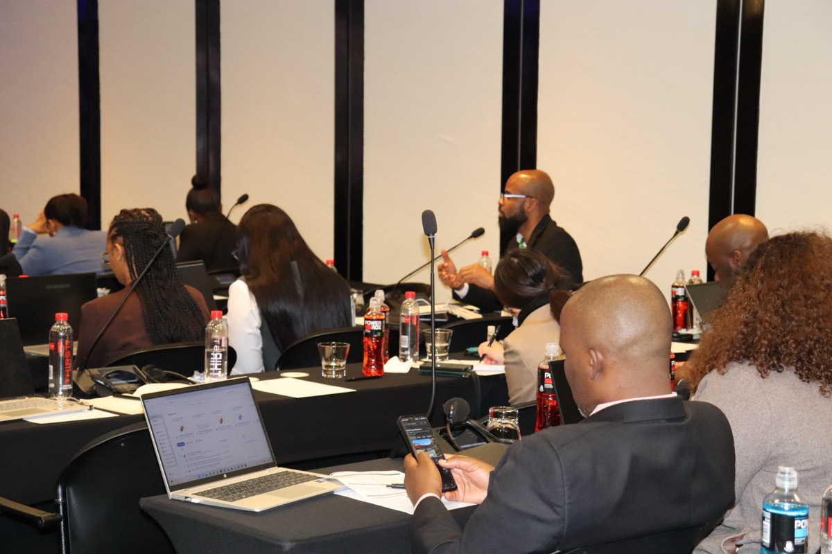 A participant sharing a perspective with fellow delegates